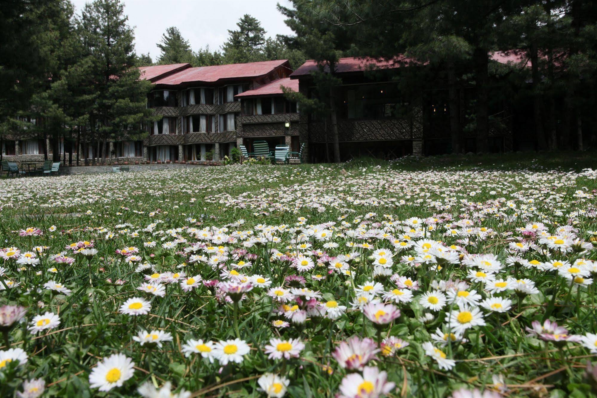 Senator Pine N Peak Hotel Pahalgam Exterior photo